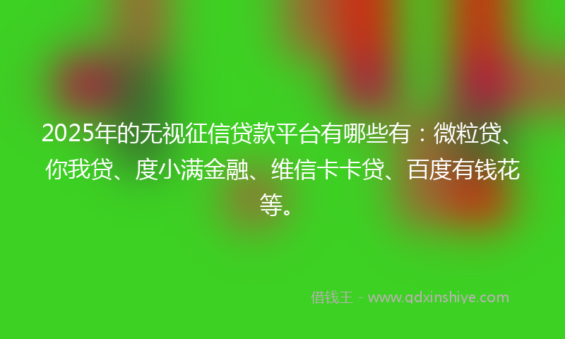 2025年的无视征信贷款平台有哪些有：微粒贷、你我贷、度小满金融、维信卡卡贷、百度有钱花等。
