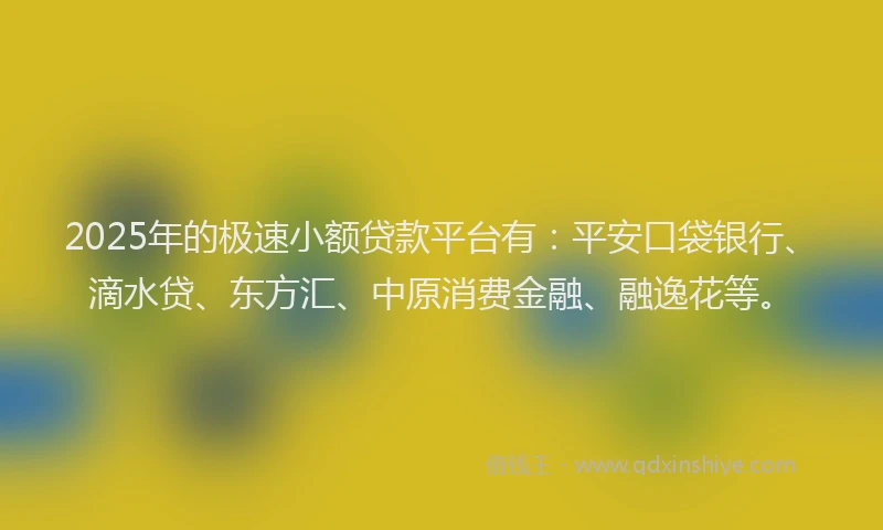 2025年的极速小额贷款平台有：平安口袋银行、滴水贷、东方汇、中原消费金融、融逸花等。