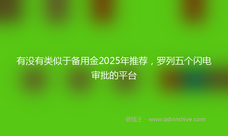 有没有类似于备用金2025年推荐，罗列五个闪电审批的平台