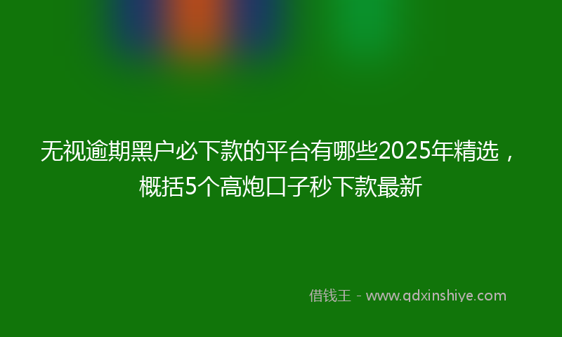 无视逾期黑户必下款的平台有哪些2025年精选，概括5个高炮口子秒下款最新