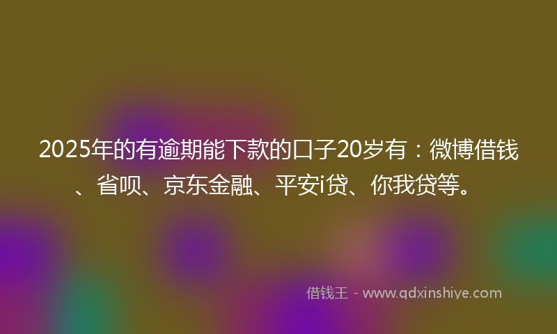 2025年的有逾期能下款的口子20岁有：微博借钱、省呗、京东金融、平安i贷、你我贷等。