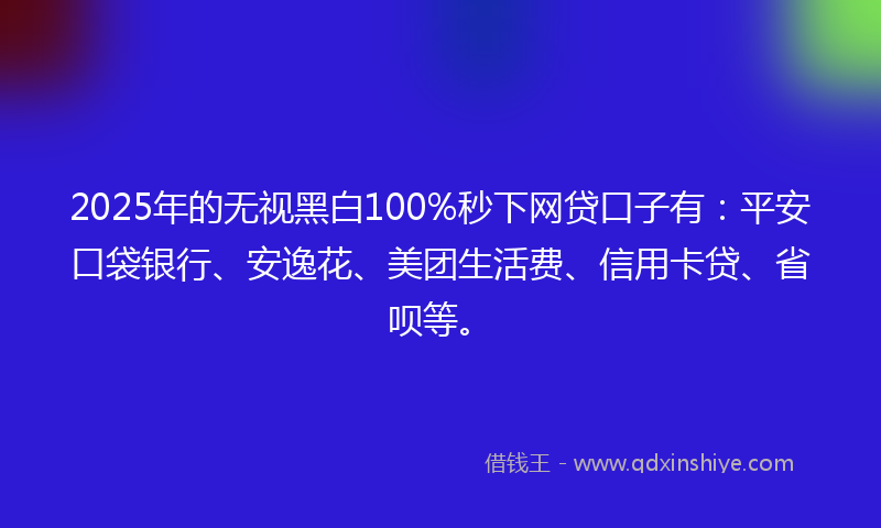 2025年的无视黑白100%秒下网贷口子有：平安口袋银行、安逸花、美团生活费、信用卡贷、省呗等。