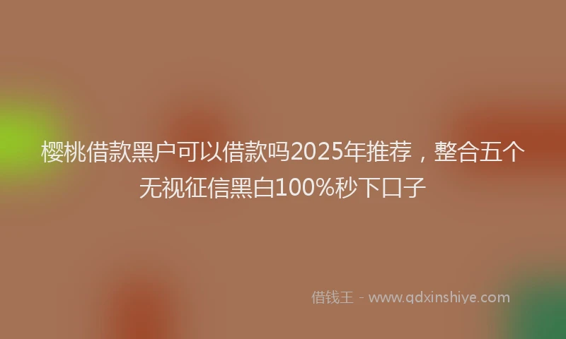 樱桃借款黑户可以借款吗2025年推荐，整合五个无视征信黑白100%秒下口子