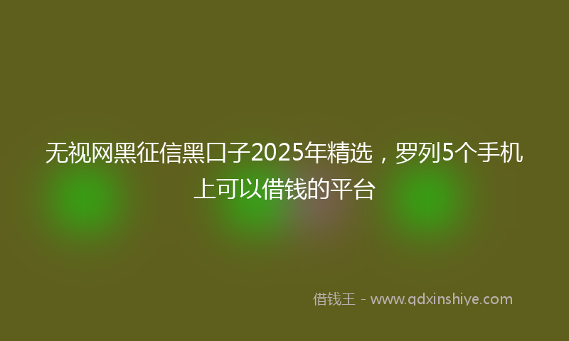 无视网黑征信黑口子2025年精选，罗列5个手机上可以借钱的平台