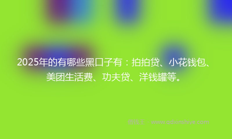 2025年的有哪些黑口子有：拍拍贷、小花钱包、美团生活费、功夫贷、洋钱罐等。