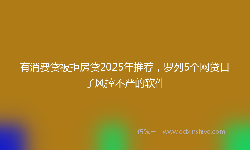 有消费贷被拒房贷2025年推荐，罗列5个网贷口子风控不严的软件
