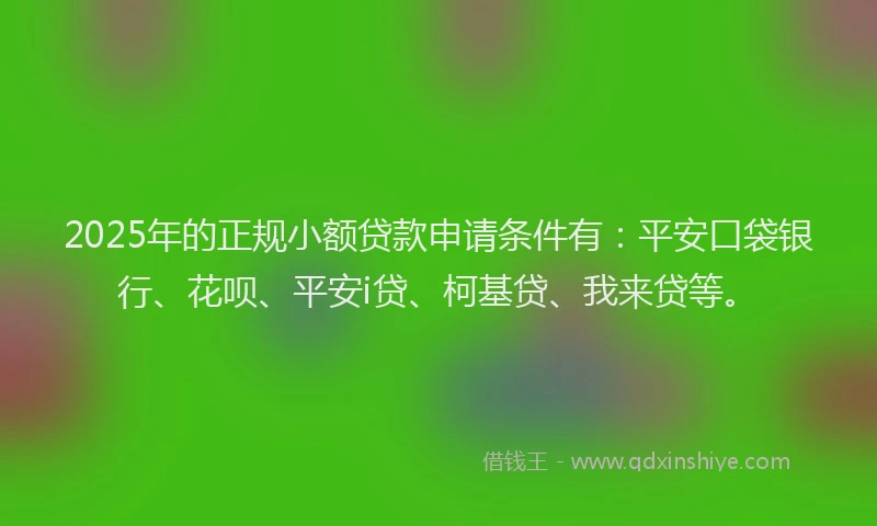 2025年的正规小额贷款申请条件有：平安口袋银行、花呗、平安i贷、柯基贷、我来贷等。