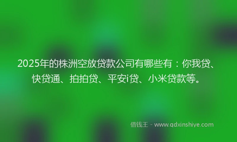 2025年的株洲空放贷款公司有哪些有：你我贷、快贷通、拍拍贷、平安i贷、小米贷款等。