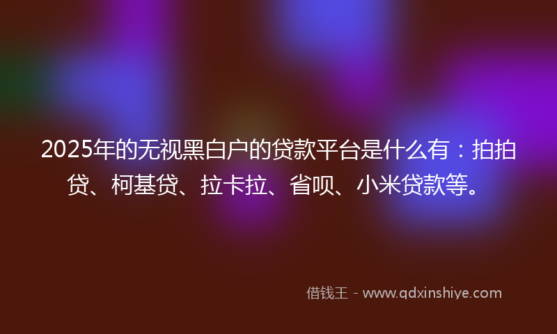 2025年的无视黑白户的贷款平台是什么有：拍拍贷、柯基贷、拉卡拉、省呗、小米贷款等。