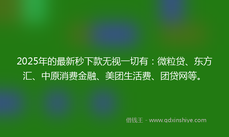 2025年的最新秒下款无视一切有：微粒贷、东方汇、中原消费金融、美团生活费、团贷网等。