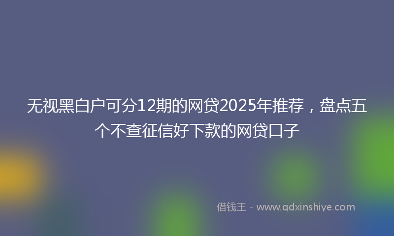 无视黑白户可分12期的网贷2025年推荐，盘点五个不查征信好下款的网贷口子