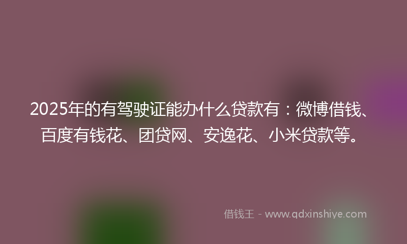 2025年的有驾驶证能办什么贷款有：微博借钱、百度有钱花、团贷网、安逸花、小米贷款等。