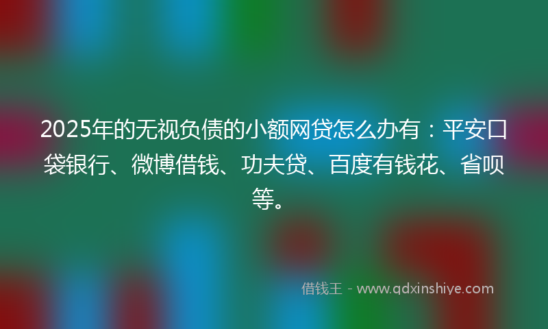 2025年的无视负债的小额网贷怎么办有：平安口袋银行、微博借钱、功夫贷、百度有钱花、省呗等。