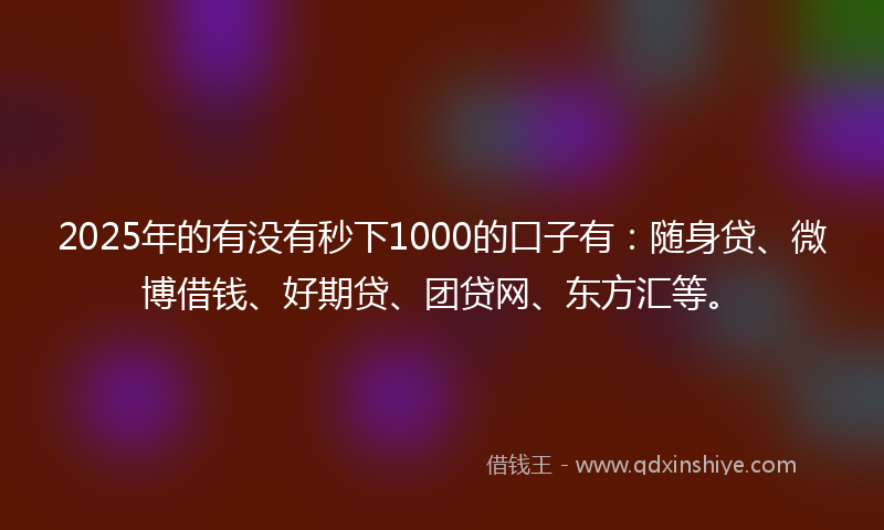 2025年的有没有秒下1000的口子有：随身贷、微博借钱、好期贷、团贷网、东方汇等。