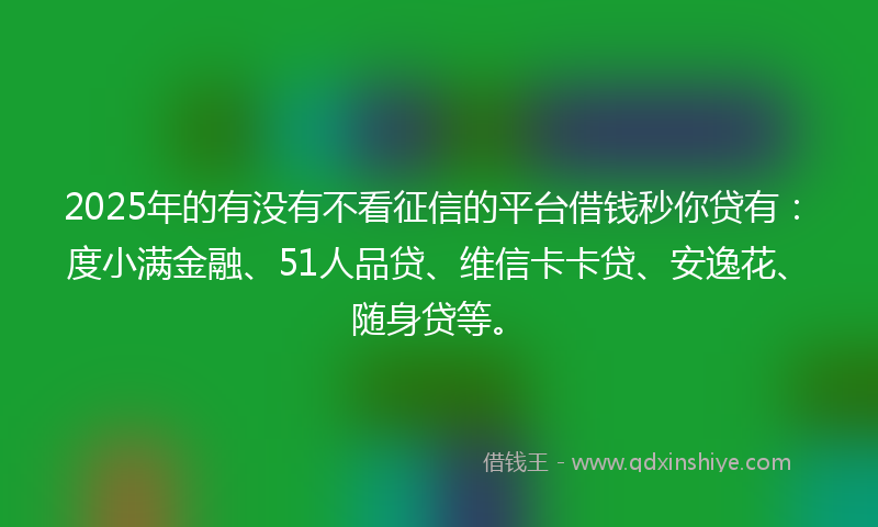 2025年的有没有不看征信的平台借钱秒你贷有：度小满金融、51人品贷、维信卡卡贷、安逸花、随身贷等。