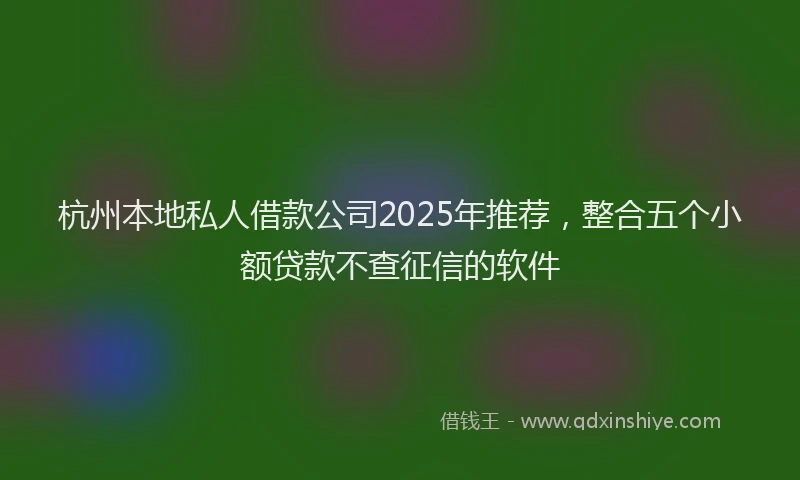 杭州本地私人借款公司2025年推荐，整合五个小额贷款不查征信的软件