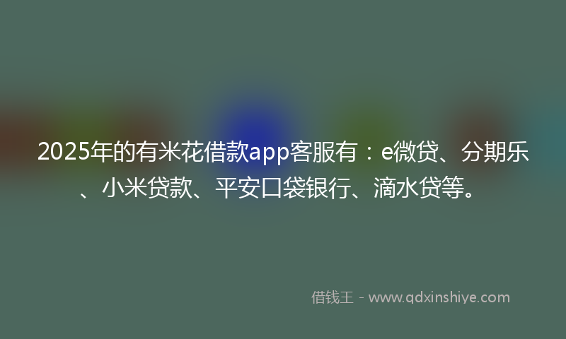 2025年的有米花借款app客服有：e微贷、分期乐、小米贷款、平安口袋银行、滴水贷等。