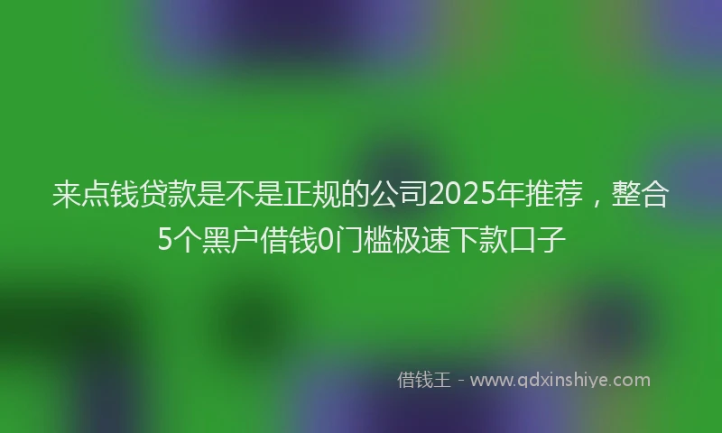 来点钱贷款是不是正规的公司2025年推荐，整合5个黑户借钱0门槛极速下款口子