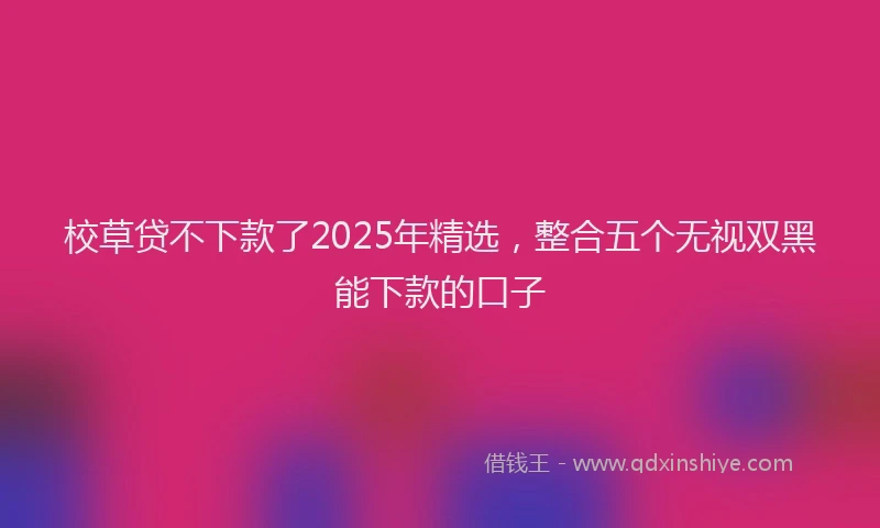 校草贷不下款了2025年精选，整合五个无视双黑能下款的口子