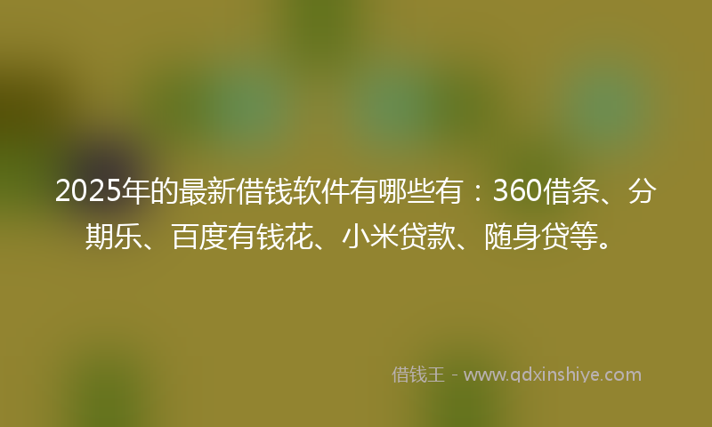 2025年的最新借钱软件有哪些有：360借条、分期乐、百度有钱花、小米贷款、随身贷等。