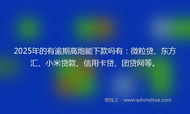 2025年的有逾期高炮能下款吗有：微粒贷、东方汇、小米贷款、信用卡贷、团贷网等。