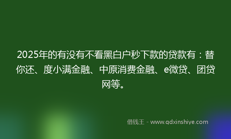 2025年的有没有不看黑白户秒下款的贷款有：替你还、度小满金融、中原消费金融、e微贷、团贷网等。