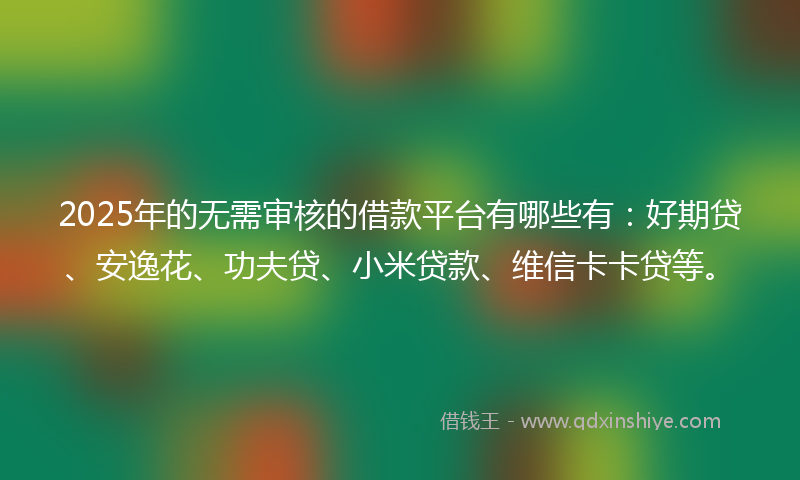 2025年的无需审核的借款平台有哪些有：好期贷、安逸花、功夫贷、小米贷款、维信卡卡贷等。