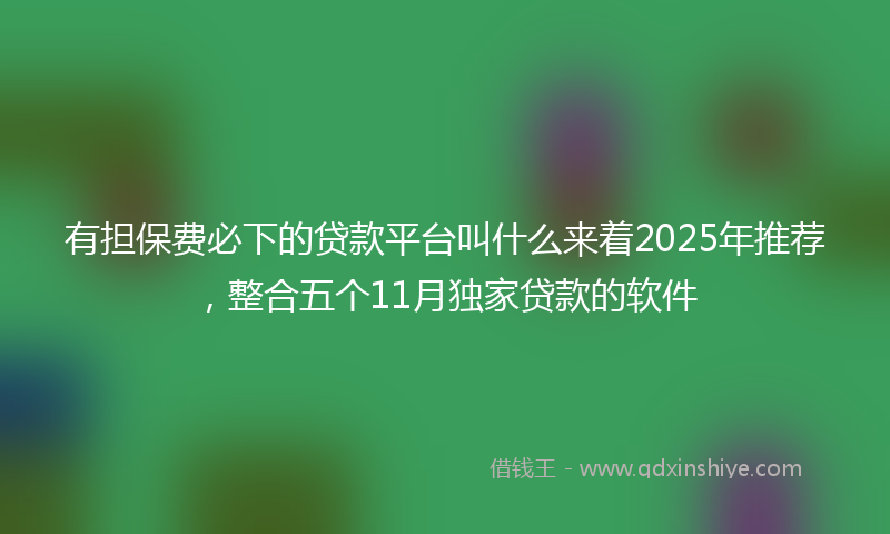 有担保费必下的贷款平台叫什么来着2025年推荐，整合五个11月独家贷款的软件