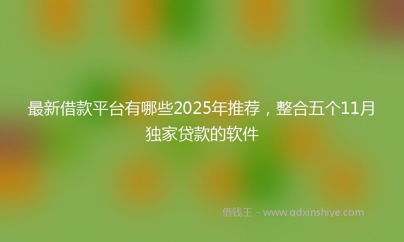 最新借款平台有哪些2025年推荐，整合五个11月独家贷款的软件
