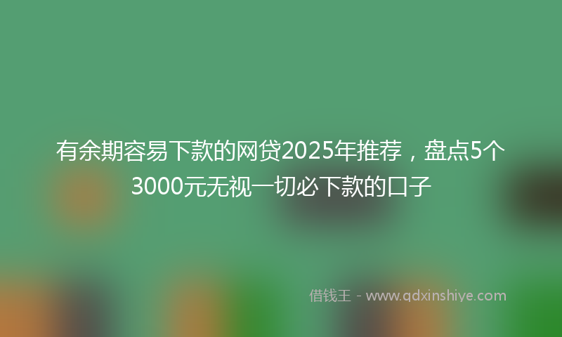 有余期容易下款的网贷2025年推荐，盘点5个3000元无视一切必下款的口子