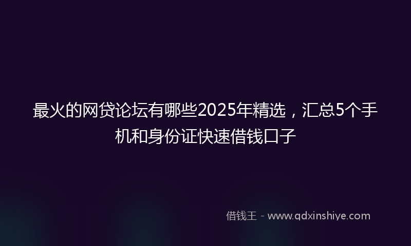 最火的网贷论坛有哪些2025年精选，汇总5个手机和身份证快速借钱口子