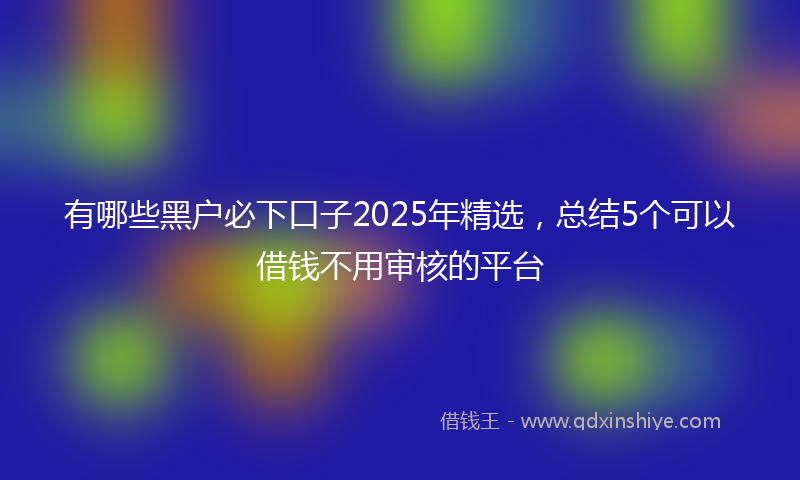 有哪些黑户必下口子2025年精选，总结5个可以借钱不用审核的平台