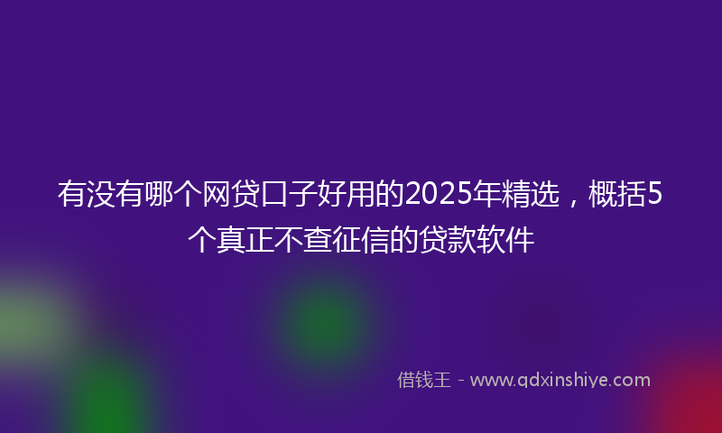 有没有哪个网贷口子好用的2025年精选，概括5个真正不查征信的贷款软件