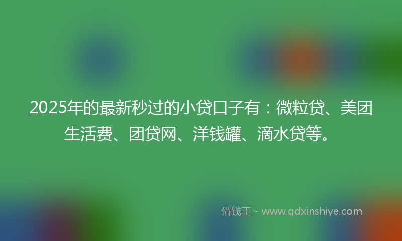 2025年的最新秒过的小贷口子有：微粒贷、美团生活费、团贷网、洋钱罐、滴水贷等。