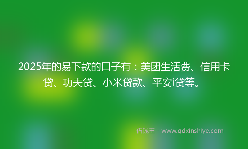 2025年的易下款的口子有：美团生活费、信用卡贷、功夫贷、小米贷款、平安i贷等。