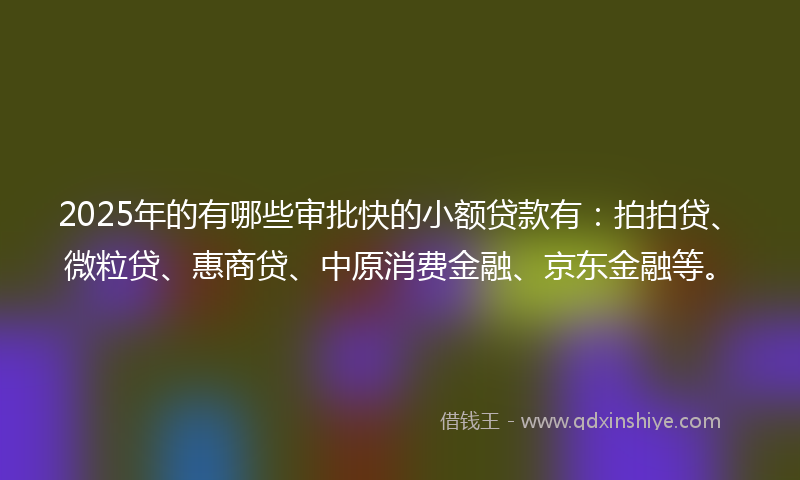 2025年的有哪些审批快的小额贷款有：拍拍贷、微粒贷、惠商贷、中原消费金融、京东金融等。