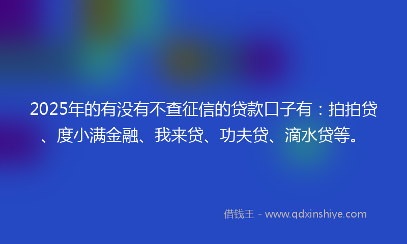 2025年的有没有不查征信的贷款口子有：拍拍贷、度小满金融、我来贷、功夫贷、滴水贷等。