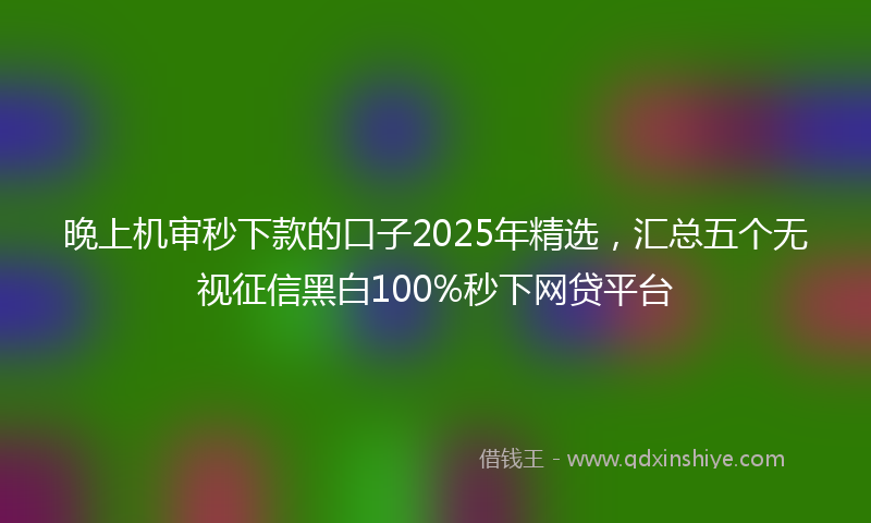 晚上机审秒下款的口子2025年精选，汇总五个无视征信黑白100%秒下网贷平台