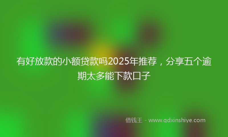 有好放款的小额贷款吗2025年推荐，分享五个逾期太多能下款口子