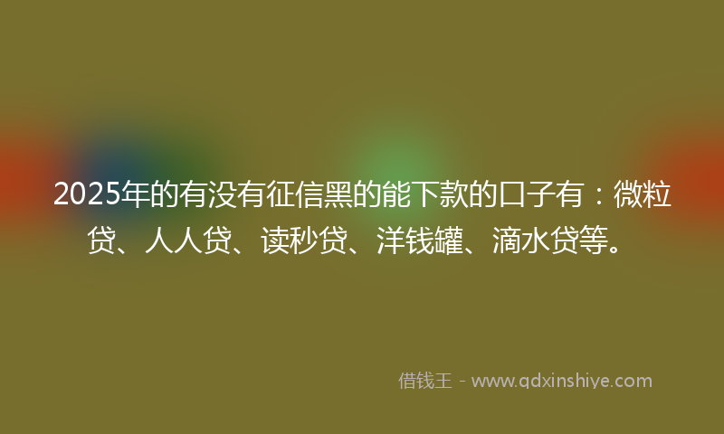 2025年的有没有征信黑的能下款的口子有：微粒贷、人人贷、读秒贷、洋钱罐、滴水贷等。
