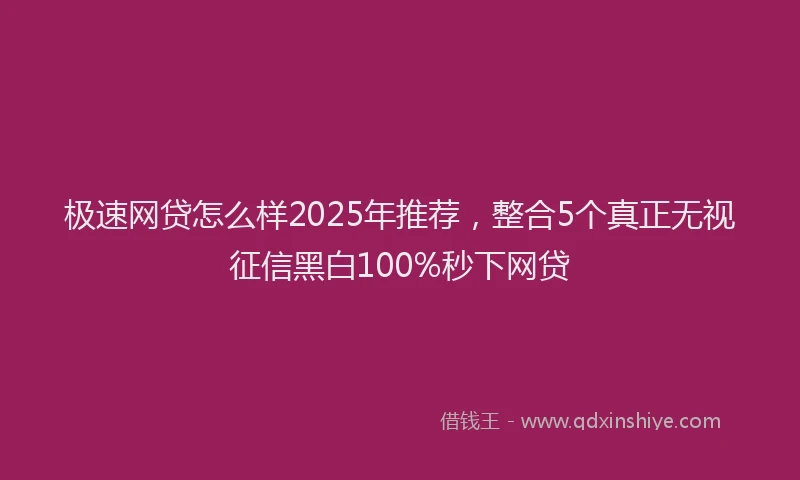 极速网贷怎么样2025年推荐，整合5个真正无视征信黑白100%秒下网贷