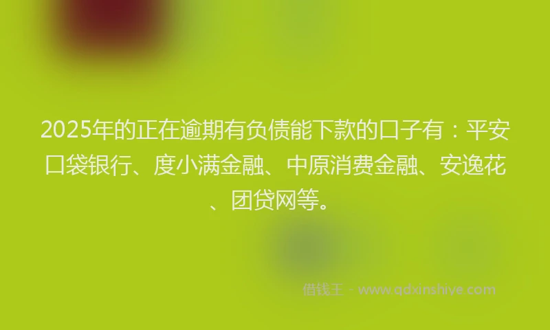 2025年的正在逾期有负债能下款的口子有：平安口袋银行、度小满金融、中原消费金融、安逸花、团贷网等。