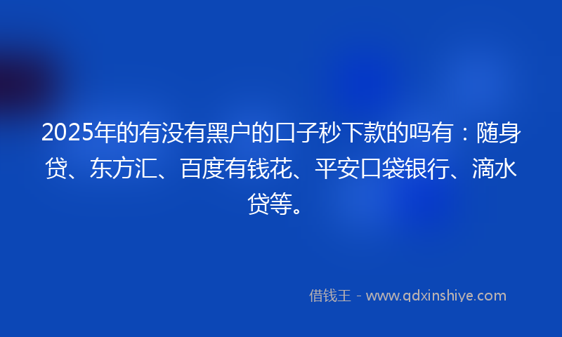 2025年的有没有黑户的口子秒下款的吗有：随身贷、东方汇、百度有钱花、平安口袋银行、滴水贷等。