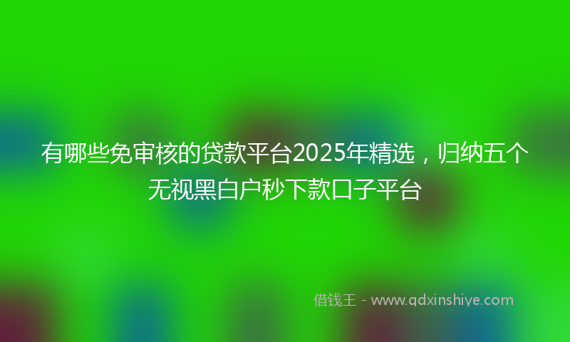 有哪些免审核的贷款平台2025年精选，归纳五个无视黑白户秒下款口子平台