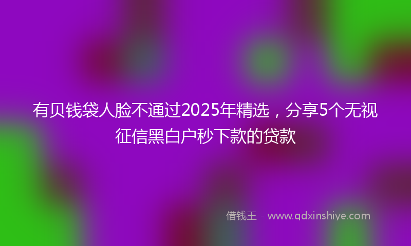 有贝钱袋人脸不通过2025年精选，分享5个无视征信黑白户秒下款的贷款