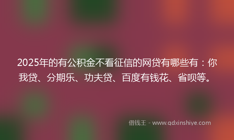 2025年的有公积金不看征信的网贷有哪些有：你我贷、分期乐、功夫贷、百度有钱花、省呗等。