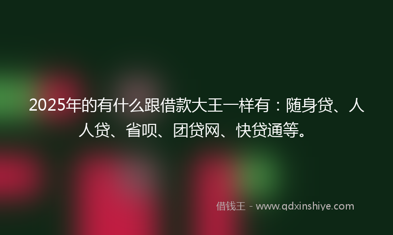 2025年的有什么跟借款大王一样有：随身贷、人人贷、省呗、团贷网、快贷通等。