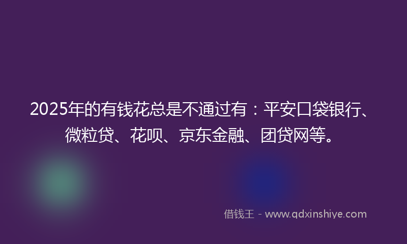 2025年的有钱花总是不通过有：平安口袋银行、微粒贷、花呗、京东金融、团贷网等。
