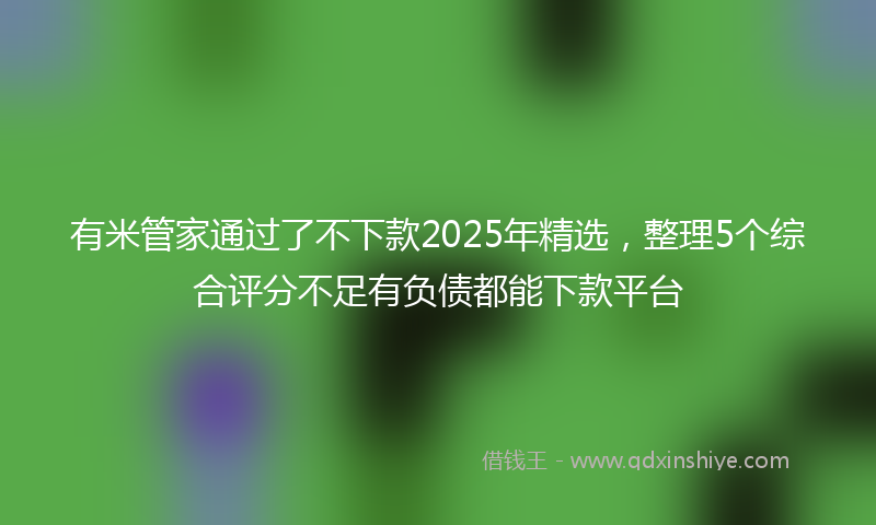 有米管家通过了不下款2025年精选，整理5个综合评分不足有负债都能下款平台