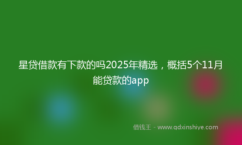 星贷借款有下款的吗2025年精选，概括5个11月能贷款的app